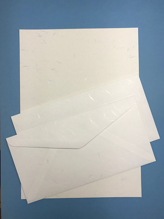 大礼紙-A4用紙と封筒の色味が若干異なります